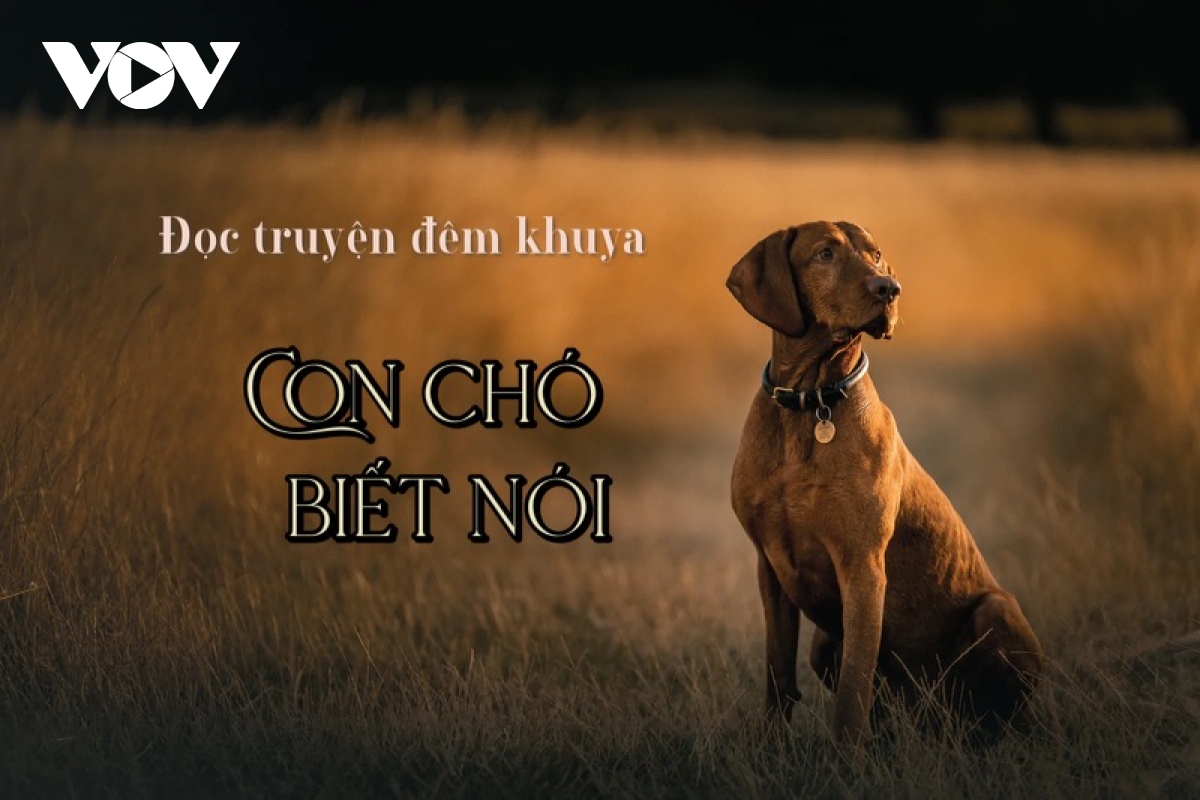 Truyện ngắn "Con chó biết nói" - Sự cô đơn trong đời sống hiện đại